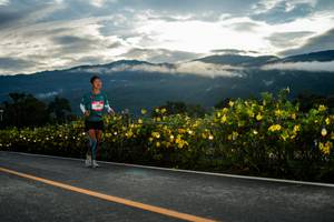 BIB: 
                            <button type="button" onclick="openModal(26538337)" class="btn btn-primary btn-sm float-right btn-popup" data-toggle="modal" data-target=".modal-high-quality">
                        <i class="fas fa-shopping-cart"></i> Add to Cart
                    </button>
                                            <button type="button" onclick="isThisMe(26538337, true)" class="btn btn-success btn-sm float-right btn-popup btn-isme hidden" data-toggle="tooltip" data-placement="bottom" title="นี่คือรูปของคุณใช่ไหม คลิกที่นี่เพื่อเอาเข้าอัลบั้ม">
                        <i class="fas fa-plus"></i> Add to album
                    </button>
                    <button type="button" onclick="isThisMe(26538337, false)" class="btn btn-warning btn-sm float-right btn-popup btn-isnotme hidden">
                        <i class="fas fa-ban"></i> Remove from album
                    </button>